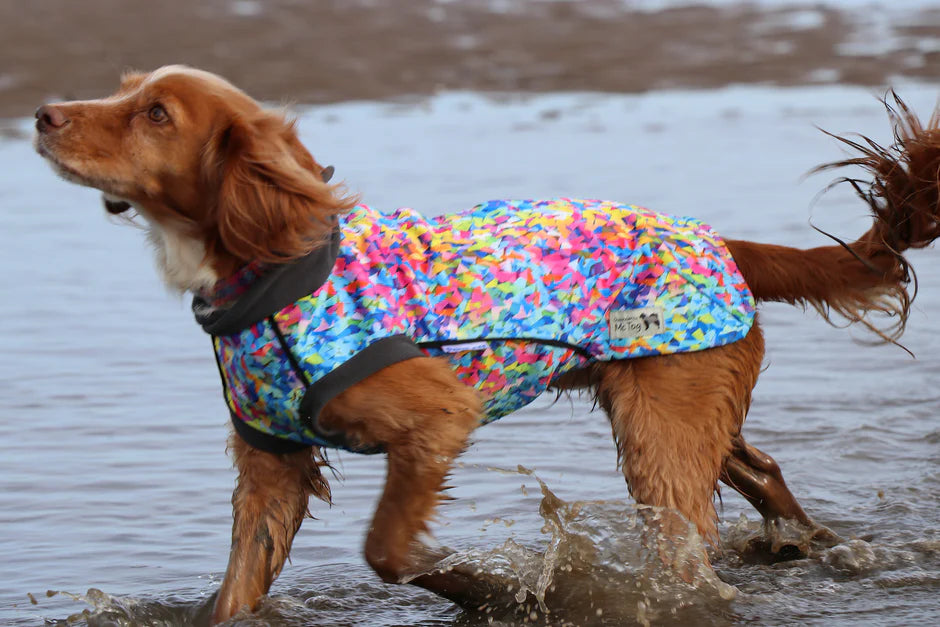 Glenndarcy Razzle Dazzle McTog - Microfleece Waterproof Dog Sweater - Step In Poppers